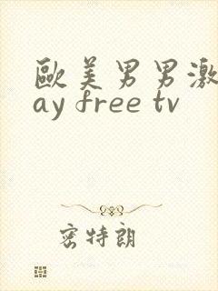 欧美男男激情gay free tv