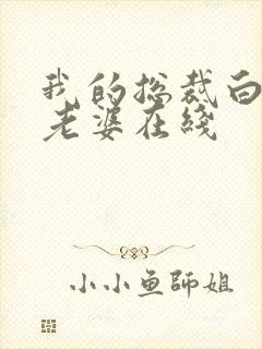 我的总裁白富美老婆在线