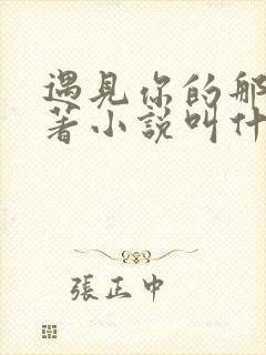 遇见你的那天原著小说叫什么