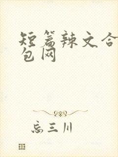 短篇辣文合集书包网