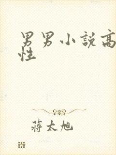 男男小说高h双性
