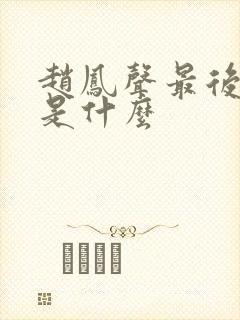 赵凤声最后结局是什么封面
