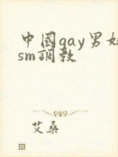 中国gay男奴sm调教封面