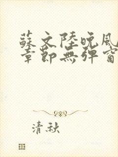 苏文陆晚风最新章节无弹窗笔趣阁