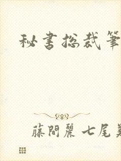 秘书总裁笔趣阁封面
