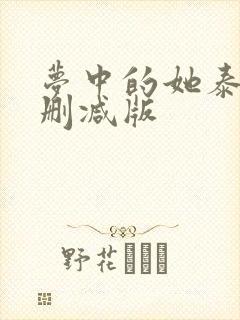 梦中的她泰剧无删减版