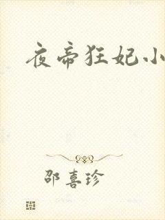 夜帝狂妃小说封面