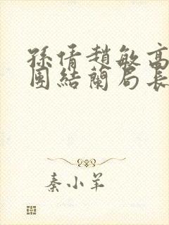 孙倩赵敏高义大团结兰局长