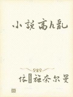 小说高h乱