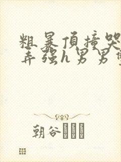 粗暴顶撞哭喊玩弄强h男男双性