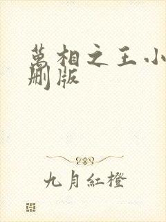 万相之王小说未删版封面