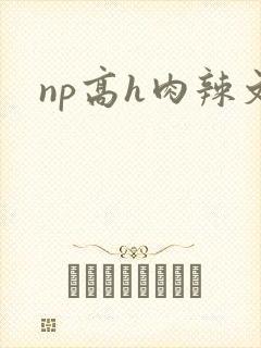 np高h肉辣文