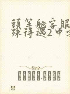 头等舱客服的特殊待遇2中字