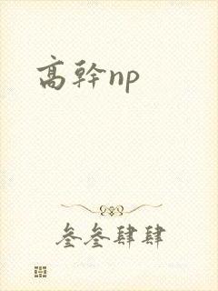 高干np
