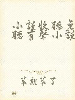 小说收听免费收听有声小说