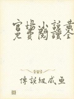 官场小说黄安国免费阅读全文