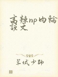 高辣np肉轮小说文