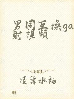 男同互操gay射视频