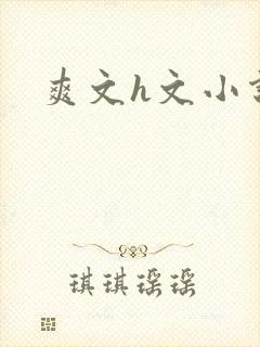 爽文h文小说封面