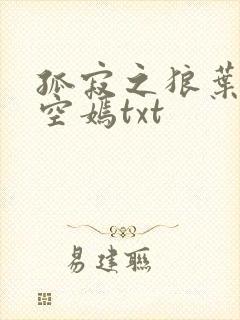 孤寂之狼叶凡司空嫣txt