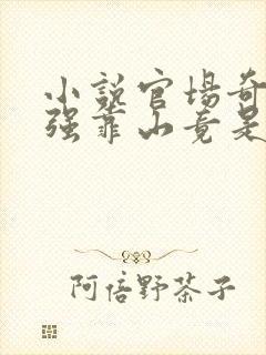 小说官场奇才最强靠山竟是我自己李澜在线
