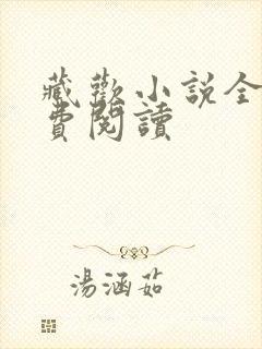 藏欢小说全本免费阅读