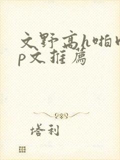 文野高h啪肉np文推荐封面