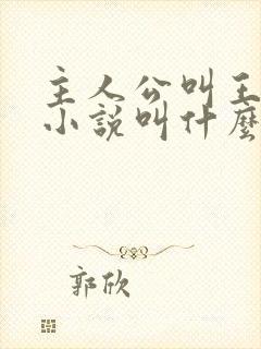主人公叫王峰的小说叫什么名字