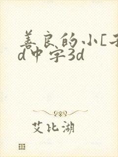 善良的小[子hd中字3d
