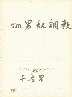 sm男奴调教文