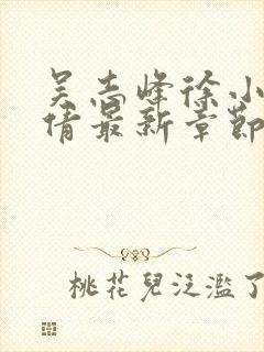 吴志峰徐小雨孙倩最新章节在线阅读封面