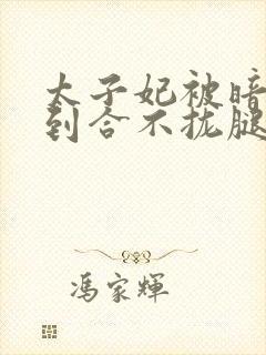 太子妃被暗卫C到合不拢腿