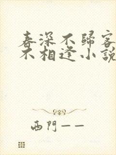 春深不归客清梦不相逢小说