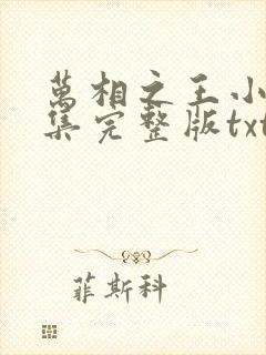 万相之王小说全集完整版txt