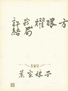许我耀眼方雷的结局封面