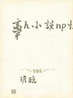 高h小说np快穿封面
