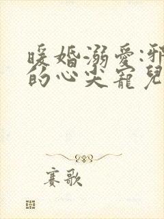 暖婚溺爱:邪少的心尖宠儿
