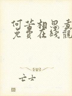 何苦相思煮余年免费在线观看封面
