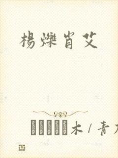 杨烁肖艾