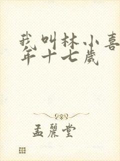 我叫林小喜 今年十七岁