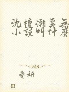 沈檀潮奚无霁的小说叫什么名字
