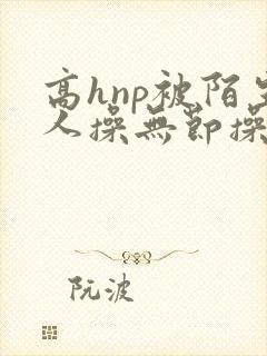 高hnp被陌生人操无节操小说