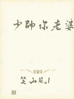 少帅你老婆跑了