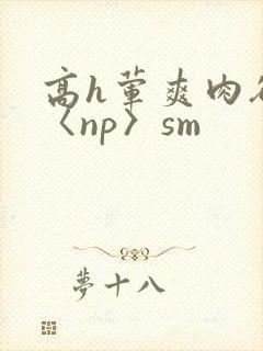 高h荤爽肉欲文〈np〉sm