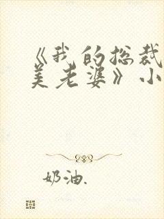 《我的总裁白富美老婆》小说