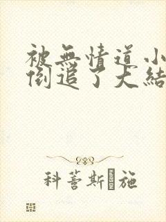 被无情道小师弟倒追了大结局