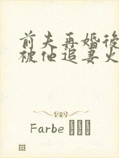前夫再婚后,我被他追妻火葬场了封面