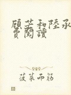 顾芒和陆承洲免费阅读封面
