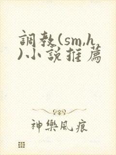 调教(sm,h)小说推荐