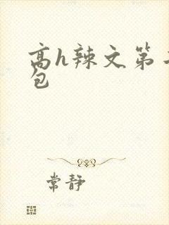 高h辣文第二书包封面